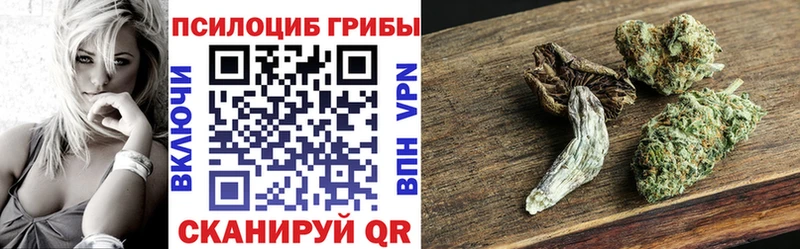 где найти наркотики  Ленинск  Галлюциногенные грибы мицелий 